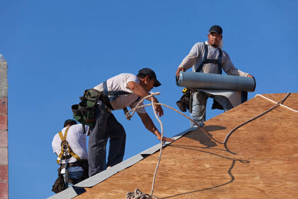 Best Flat Roof Repair Services  in Honey Grove, TX