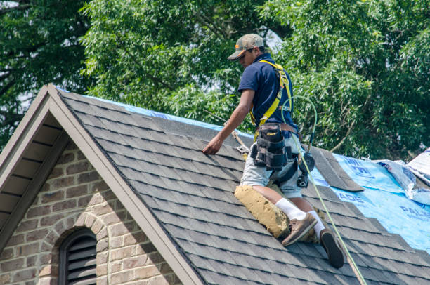Quick and Trustworthy Emergency Roof Repair Services in Honey Grove, TX